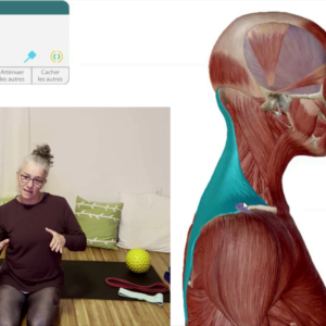 stretching et posture ciblé (5 cours zoom)
